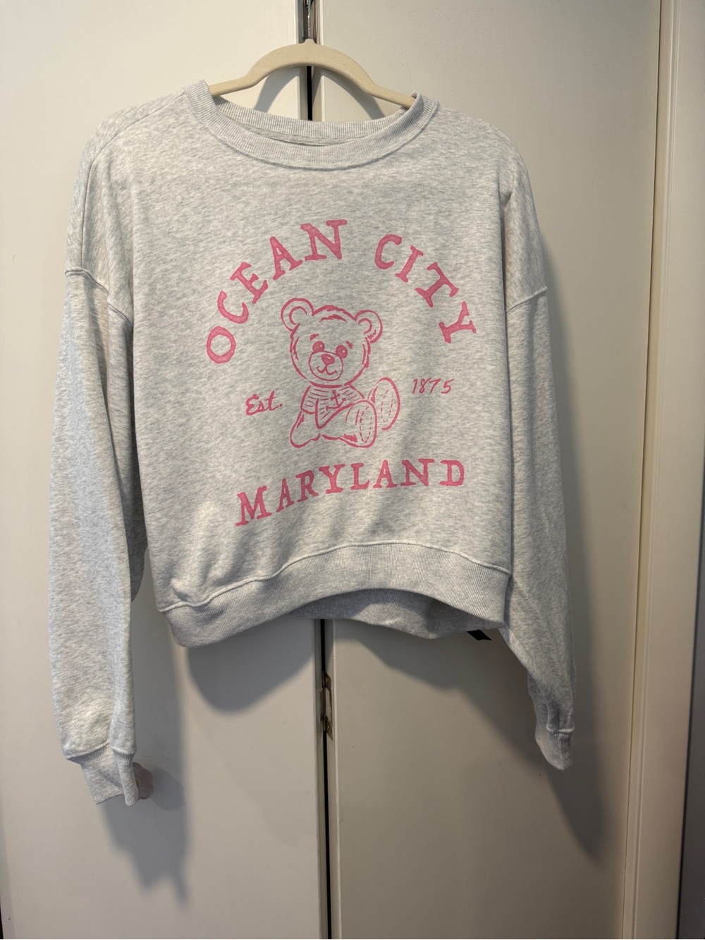 Hollister Light Gray Crewneck Sweatshirt with Pink Ocean City Graphic